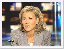 TF1 2008-01-25 20-20-22 * 768 x 576 * (156KB)